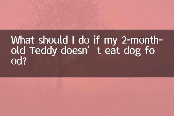 اگر تدی 2 ماهه من غذای سگ نخورد چه باید بکنم؟