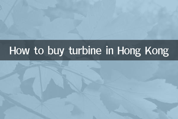 홍콩에서 터빈을 구입하는 방법