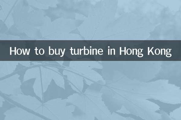 홍콩에서 터빈을 구입하는 방법