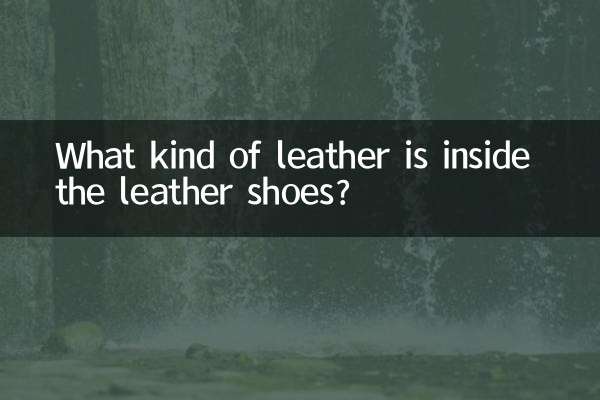 가죽신 안에는 어떤 가죽이 들어있나요?