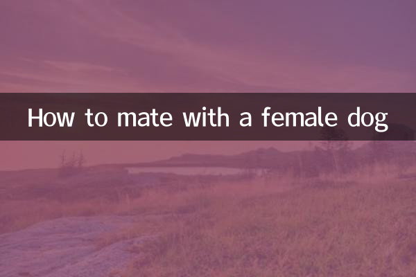 암컷 개와 짝짓기하는 방법