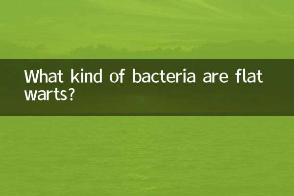 ¿Qué tipo de bacterias son las verrugas planas?