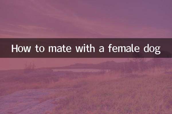 چگونه با سگ ماده جفت گیری کنیم