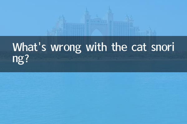 خروپف گربه چه اشکالی دارد؟