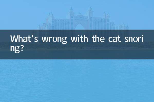 خروپف گربه چه اشکالی دارد؟