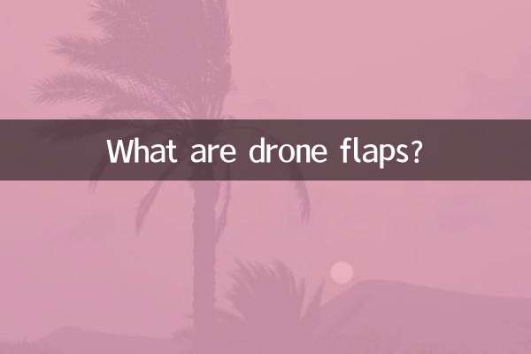 ড্রোন ফ্ল্যাপ কি?