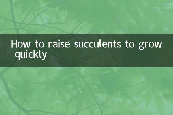 কিভাবে দ্রুত বৃদ্ধি succulents বাড়াতে