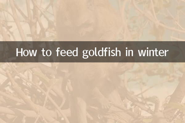 金魚冬天怎麼餵