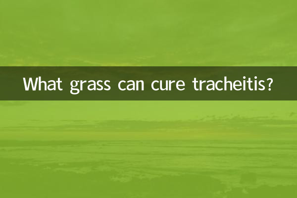 ¿Qué hierba puede curar la traqueítis?