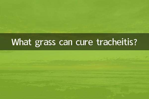 什麼草可以治氣管炎嗎