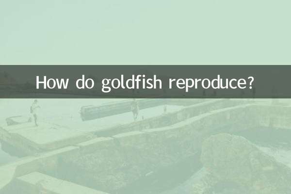 Wie vermehren sich Goldfische?
