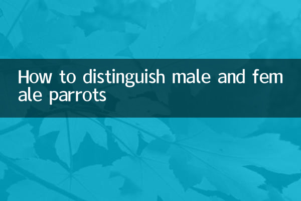 چگونه طوطی نر و ماده را تشخیص دهیم