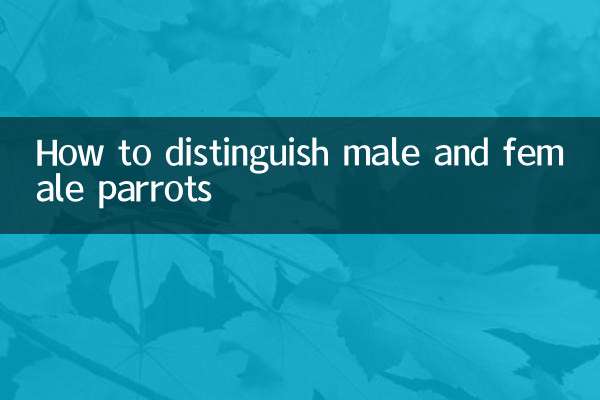 수컷 앵무새와 암컷 앵무새를 구별하는 방법