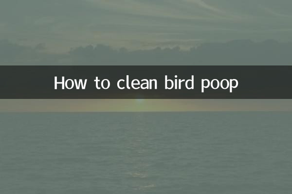 Cómo limpiar caca de pájaro