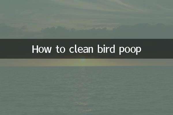 Cómo limpiar caca de pájaro
