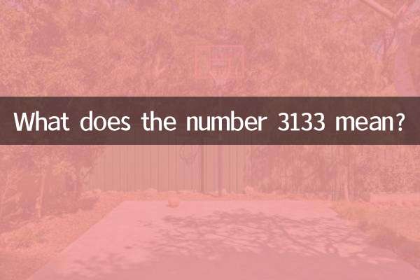 3133이라는 숫자는 무엇을 의미하나요?