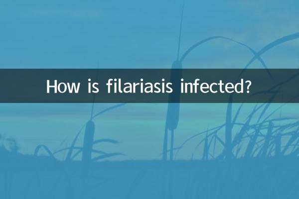 كيف تتم الإصابة بداء الفيلاريات؟