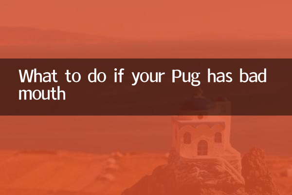 Cosa fare se il tuo Carlino ha la bocca brutta