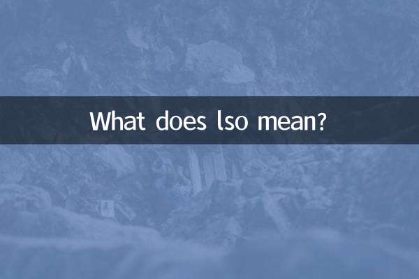lso是什么意思