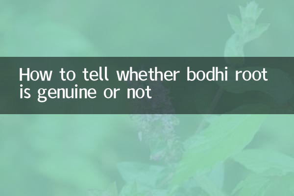 Cómo saber si la raíz de bodhi es genuina o no