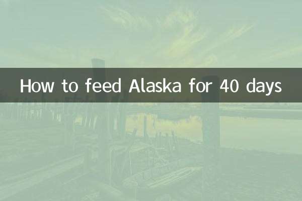 阿拉斯加40天怎么喂养