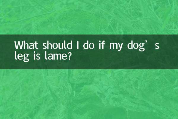 O que devo fazer se a perna do meu cachorro estiver manca?