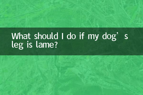 O que devo fazer se a perna do meu cachorro estiver manca?