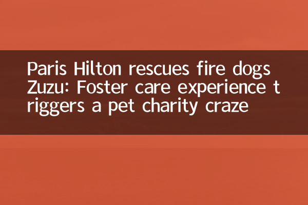 Paris Hilton rescues fire dogs Zuzu: Foster care experience triggers a pet charity craze