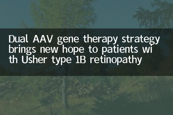 Die Doppel -AAV -Gentherapie -Strategie bringt Patienten mit Retinopathie vom Typ 1b Typ 1B neue Hoffnung.