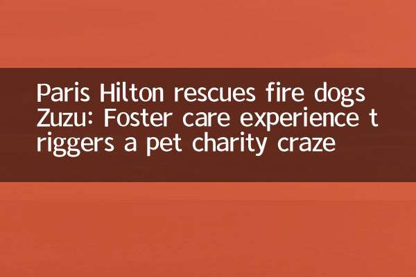 Paris Hilton salva i vigili del fuoco Dogs Zuzu: l'esperienza di affidamento innesca una mania di beneficenza per animali domestici