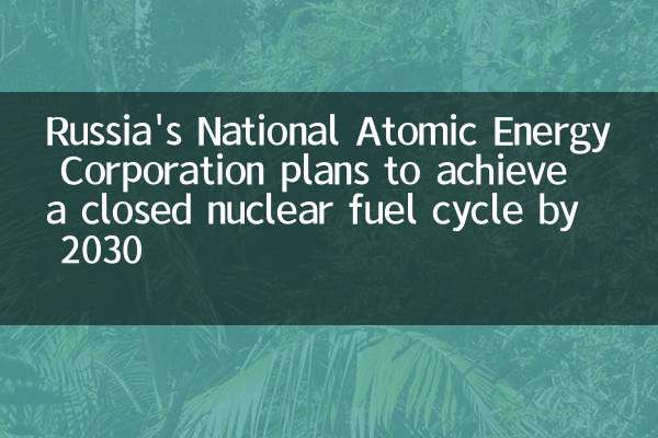 La Russia National Atomic Energy Corporation prevede di raggiungere un ciclo di combustibile nucleare chiuso entro il 2030