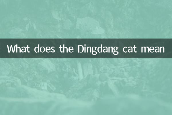 Dingdang 고양이는 무엇을 의미합니까?