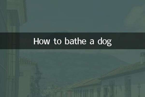 犬のお風呂の入れ方