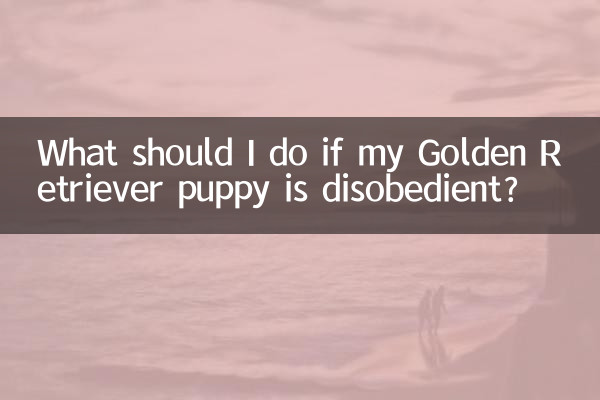Was soll ich tun, wenn mein Golden Retriever-Welpe ungehorsam ist?
