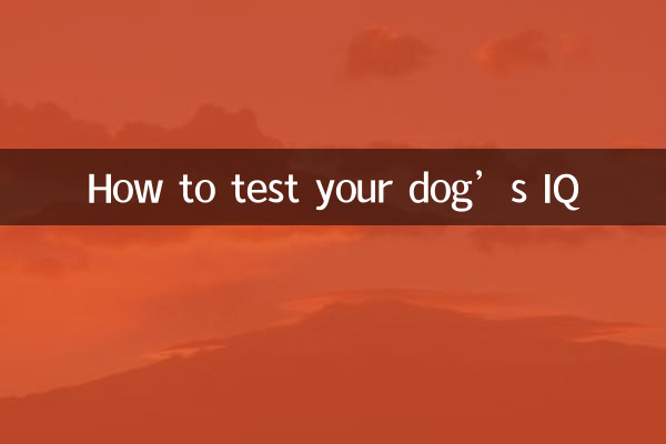 Como testar o QI do seu cachorro