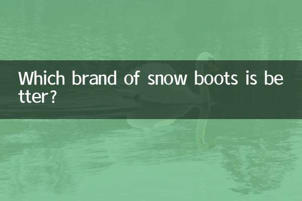 Welche Schneestiefelmarke ist besser?