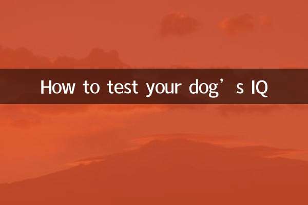 How to test your dog’s IQ