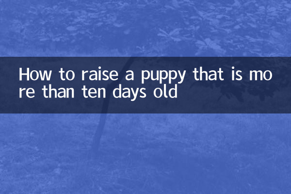 Como criar um cachorrinho com mais de dez dias