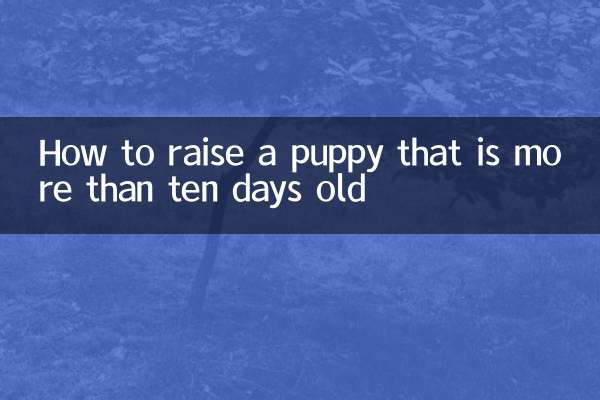 Comment élever un chiot de plus de dix jours