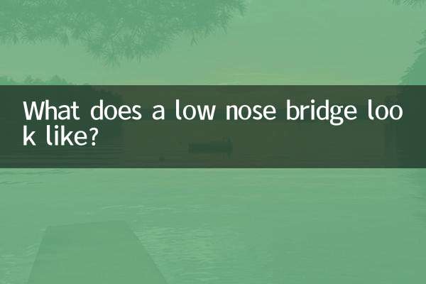 低い鼻筋はどのように見えますか?