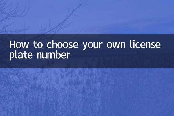 How to choose your license plate number independently