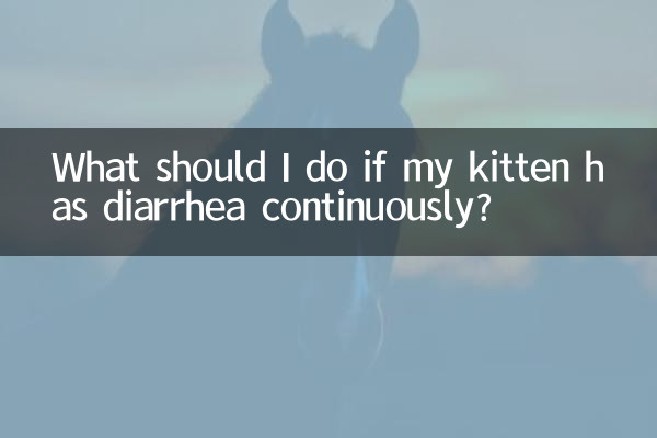 O que devo fazer se o meu gatinho tiver diarreia contínua?