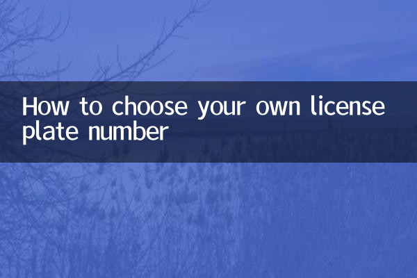 How to choose your license plate number independently