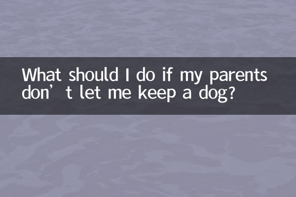 Cosa devo fare se i miei genitori non mi lasciano tenere un cane?