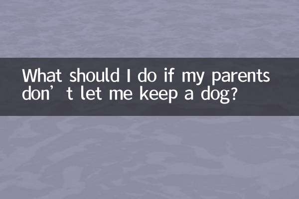 Cosa devo fare se i miei genitori non mi lasciano tenere un cane?