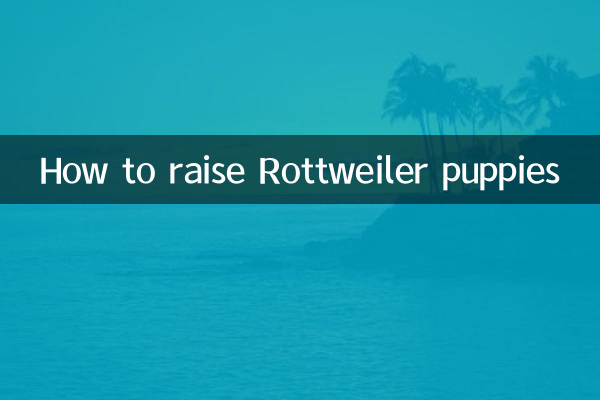 羅威納幼犬怎麼養