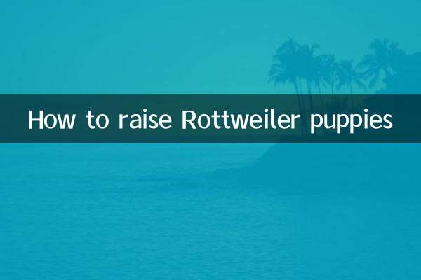 Come allevare cuccioli di Rottweiler