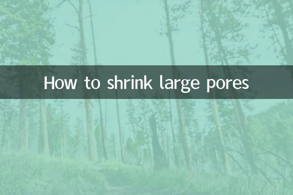 Cómo reducir los poros dilatados