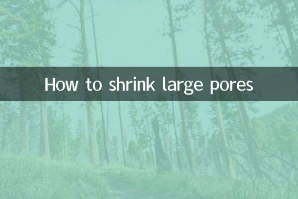 So verkleinern Sie große Poren
