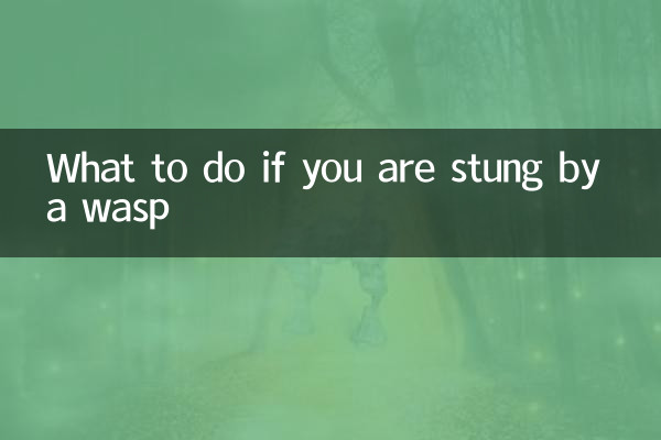 말벌에 쏘인 경우 대처 방법